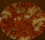 Rusty Pan