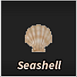 Seashell